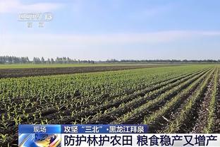 枪手预期进球2.68！阿森纳0-2西汉姆全场数据：射门30-6，射正8-3